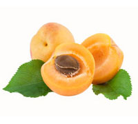 Extra Quality Apricot