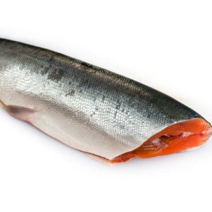Frozen Salmon Fish
