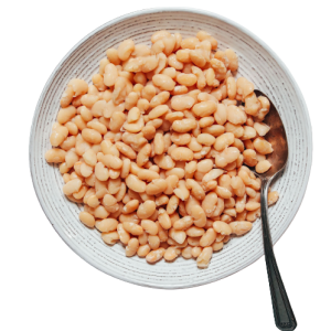 Great Northern Beans (kidney beans)