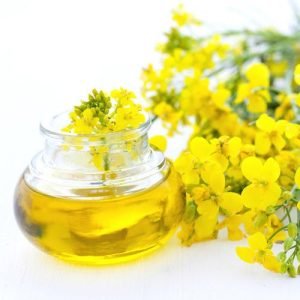 Rape Seed Oil